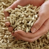 Knl: Fa biomassza pelletek magas ftrtk biomassza p...