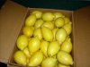 Knl: Spanyol citrom ORIGEN