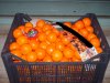Knl: Mandarin&Clementine