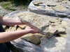Kínál: Moldova ? világossárgás homokkő 2-4 cm kő burkolat